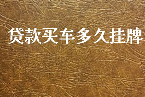 贷款买车多久挂牌_https://m.lcpcjs.com_期货交易时间_第1张