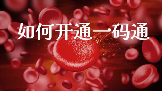 如何开通一码通_https://m.lcpcjs.com_白银期货保证金_第1张