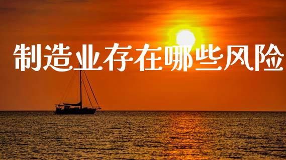 制造业存在哪些风险_https://m.lcpcjs.com_期货交易_第1张