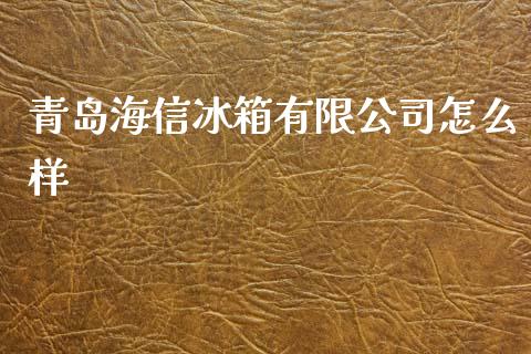 青岛海信冰箱有限公司怎么样_https://m.lcpcjs.com_期货交易时间_第1张