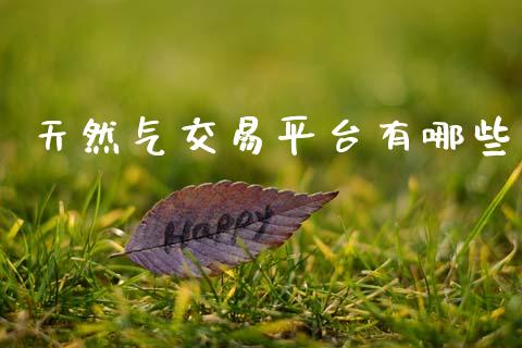 天然气交易平台有哪些_https://m.lcpcjs.com_恒指期货保证金_第1张