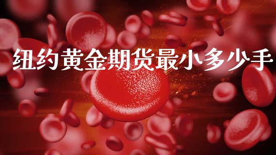 纽约黄金期货最小多少手_https://m.lcpcjs.com_白银期货保证金_第1张