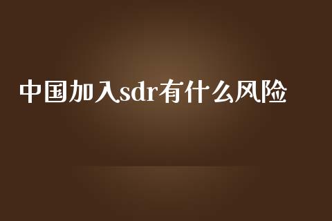 中国加入sdr有什么风险_https://m.lcpcjs.com_期货交易_第1张