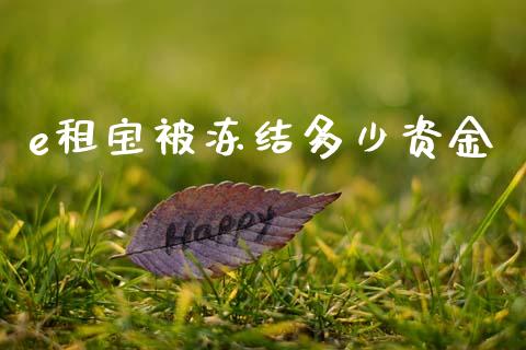 e租宝被冻结多少资金_https://m.lcpcjs.com_恒指期货保证金_第1张