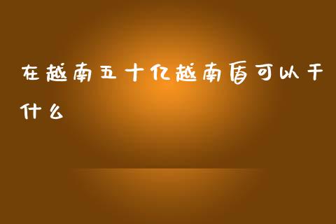 在越南五十亿越南盾可以干什么_https://m.lcpcjs.com_期货交易_第1张