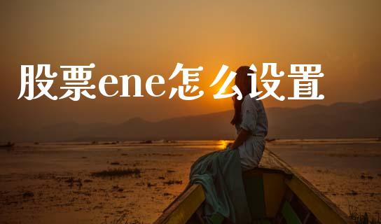 股票ene怎么设置_https://m.lcpcjs.com_期货交易_第1张