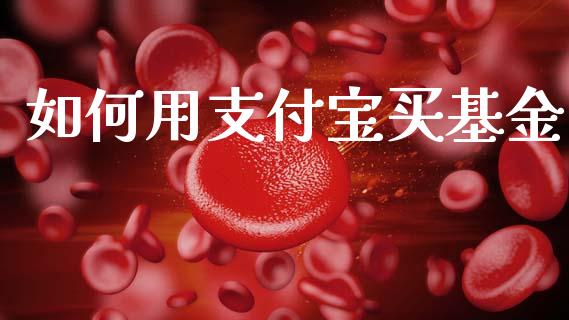 如何用支付宝买基金_https://m.lcpcjs.com_白银期货保证金_第1张