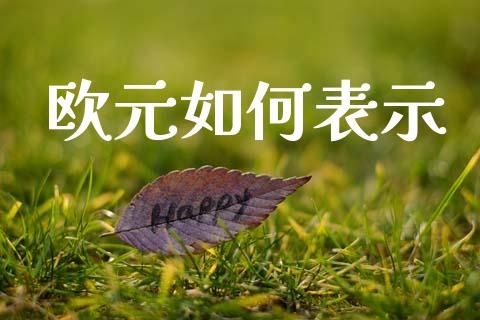 欧元如何表示_https://m.lcpcjs.com_期货交易时间_第1张