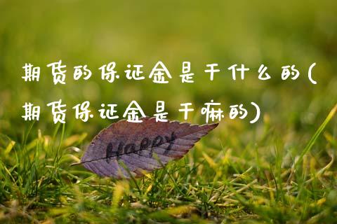期货的保证金是干什么的(期货保证金是干嘛的)_https://m.lcpcjs.com_期货交易_第1张