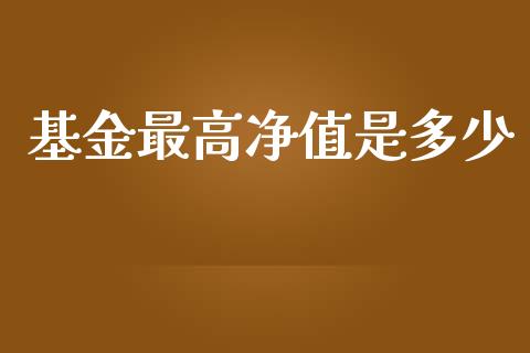 基金最高净值是多少_https://m.lcpcjs.com_期货交易时间_第1张