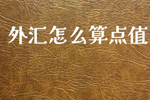 外汇怎么算点值_https://m.lcpcjs.com_白银期货保证金_第1张