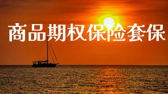 商品期权保险套保_https://m.lcpcjs.com_期货交易时间_第1张