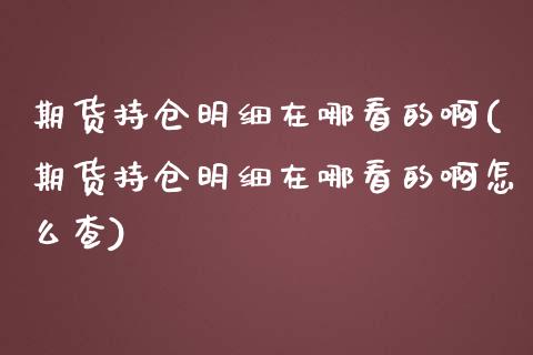 期货持仓明细在哪看的啊(期货持仓明细在哪看的啊怎么查)_https://m.lcpcjs.com_恒指期货保证金_第1张