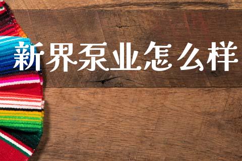 新界泵业怎么样_https://m.lcpcjs.com_恒指期货保证金_第1张
