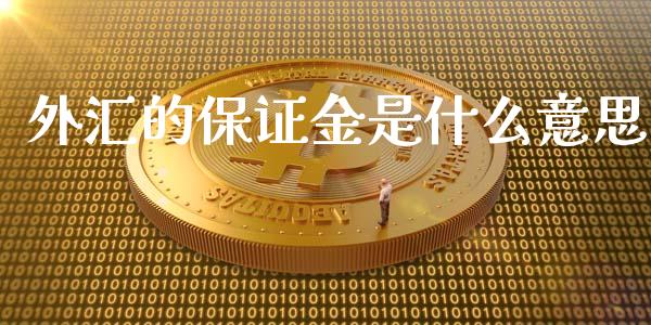 外汇的保证金是什么意思_https://m.lcpcjs.com_恒指期货保证金_第1张