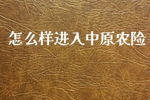 怎么样进入中原农险_https://m.lcpcjs.com_恒指期货保证金_第1张