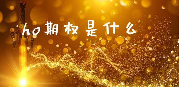 ho期权是什么_https://m.lcpcjs.com_恒指期货保证金_第1张