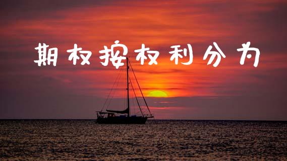 期权按权利分为_https://m.lcpcjs.com_期货交易时间_第1张