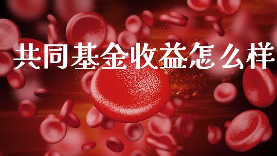 共同基金收益怎么样_https://m.lcpcjs.com_白银期货保证金_第1张