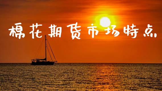 棉花期货市场特点_https://m.lcpcjs.com_期货交易_第1张