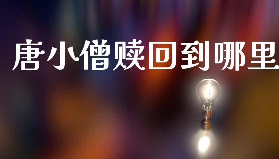 唐小僧赎回到哪里_https://m.lcpcjs.com_白银期货保证金_第1张