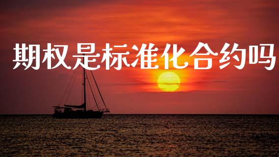 期权是标准化合约吗_https://m.lcpcjs.com_期货交易时间_第1张