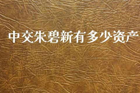 中交朱碧新有多少资产_期货交易时间_第1张_白银期货保证金_期货交易_恒指期货保证金_期货交易时间 中交朱碧新有多少资产_https://m.lcpcjs.com_期货交易时间_第1张