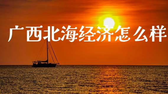 广西北海经济怎么样_https://m.lcpcjs.com_期货交易时间_第1张