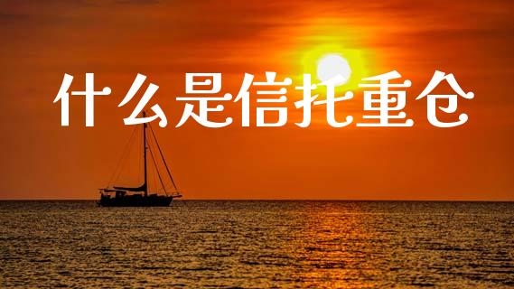 什么是信托重仓_https://m.lcpcjs.com_期货交易_第1张