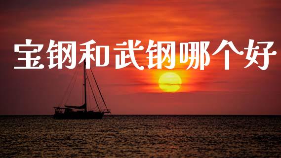 宝钢和武钢哪个好_https://m.lcpcjs.com_期货交易_第1张