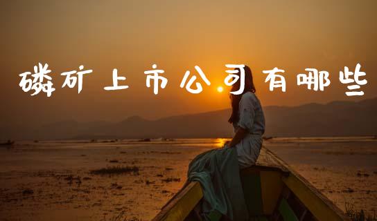 磷矿上市公司有哪些_https://m.lcpcjs.com_期货交易时间_第1张