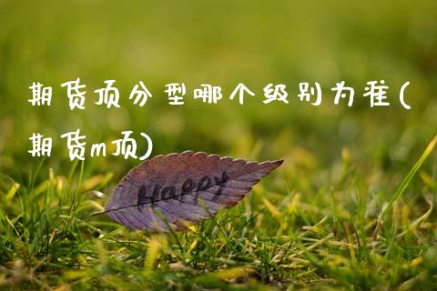 期货顶分型哪个级别为准(期货m顶)_https://m.lcpcjs.com_恒指期货保证金_第1张