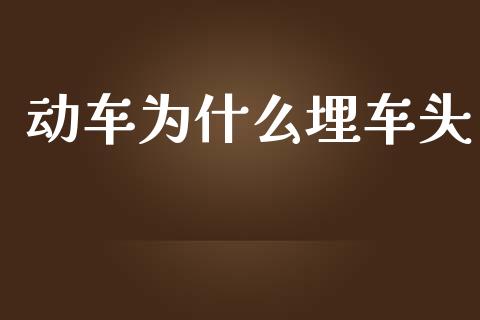 动车为什么埋车头_https://m.lcpcjs.com_期货交易时间_第1张