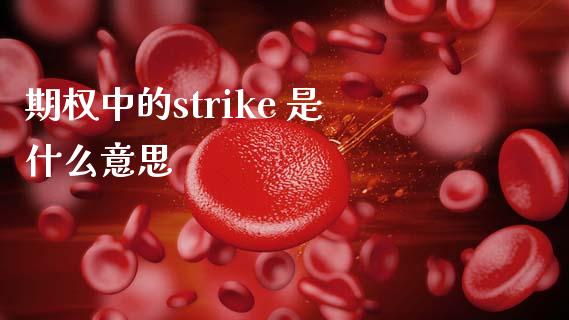 期权中的strike 是什么意思_https://m.lcpcjs.com_恒指期货保证金_第1张