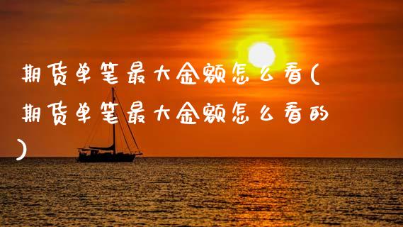 期货单笔最大金额怎么看(期货单笔最大金额怎么看的)_https://m.lcpcjs.com_白银期货保证金_第1张