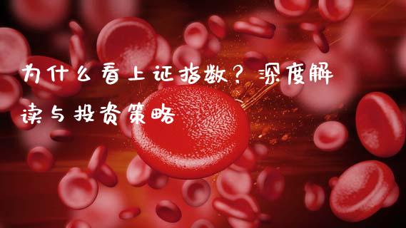 为什么看上证指数？深度解读与投资策略_https://m.lcpcjs.com_期货交易_第1张