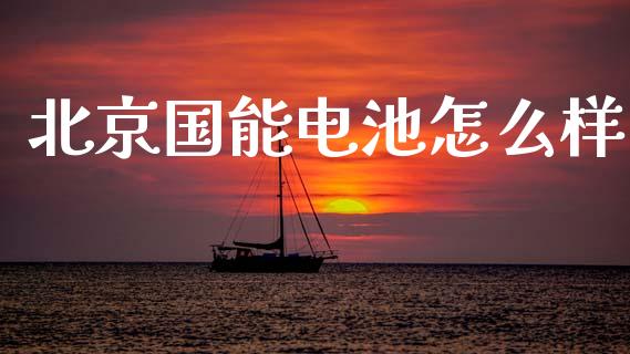 北京国能电池怎么样_https://m.lcpcjs.com_白银期货保证金_第1张