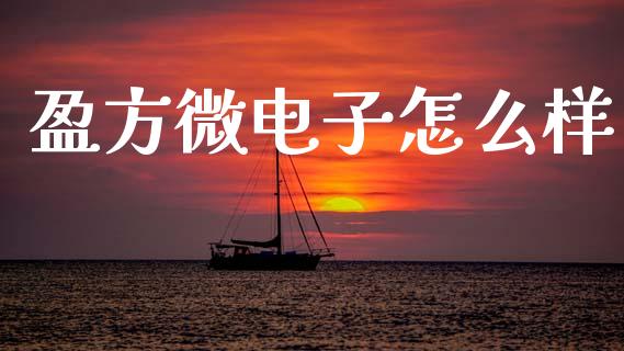 盈方微电子怎么样_https://m.lcpcjs.com_恒指期货保证金_第1张