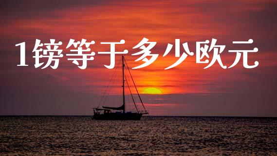 1镑等于多少欧元_https://m.lcpcjs.com_期货交易时间_第1张