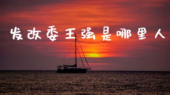 发改委王强是哪里人_https://m.lcpcjs.com_恒指期货保证金_第1张