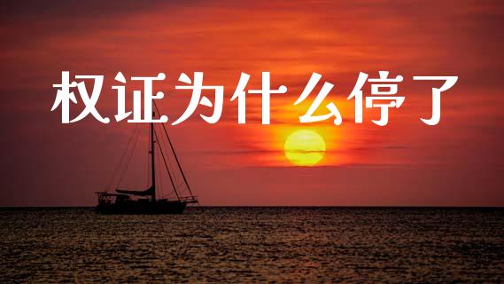 权证为什么停了_https://m.lcpcjs.com_白银期货保证金_第1张