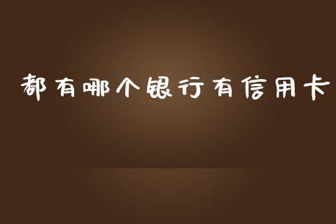 都有哪个银行有信用卡_https://m.lcpcjs.com_期货交易时间_第1张