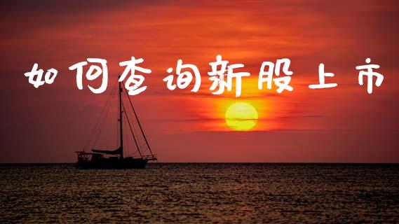 如何查询新股上市_https://m.lcpcjs.com_期货交易时间_第1张