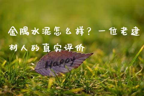 金隅水泥怎么样？一位老建材人的真实评价_https://m.lcpcjs.com_恒指期货保证金_第1张