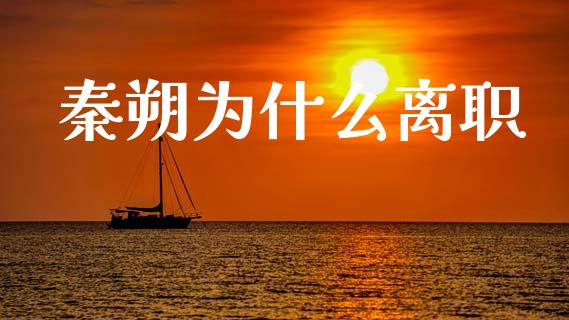秦朔为什么离职_https://m.lcpcjs.com_恒指期货保证金_第1张