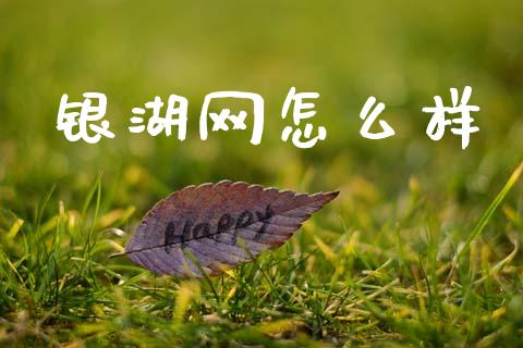 银湖网怎么样_https://m.lcpcjs.com_恒指期货保证金_第1张