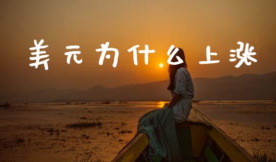 美元为什么上涨_https://m.lcpcjs.com_白银期货保证金_第1张