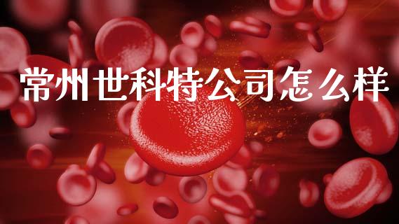 常州世科特公司怎么样_https://m.lcpcjs.com_恒指期货保证金_第1张