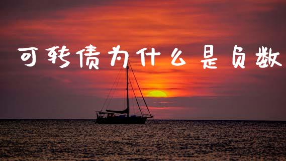 可转债为什么是负数_https://m.lcpcjs.com_白银期货保证金_第1张