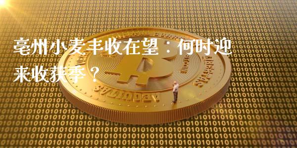 亳州小麦丰收在望：何时迎来收获季？_https://m.lcpcjs.com_白银期货保证金_第1张